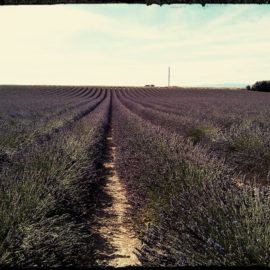 Provence mon Amour!